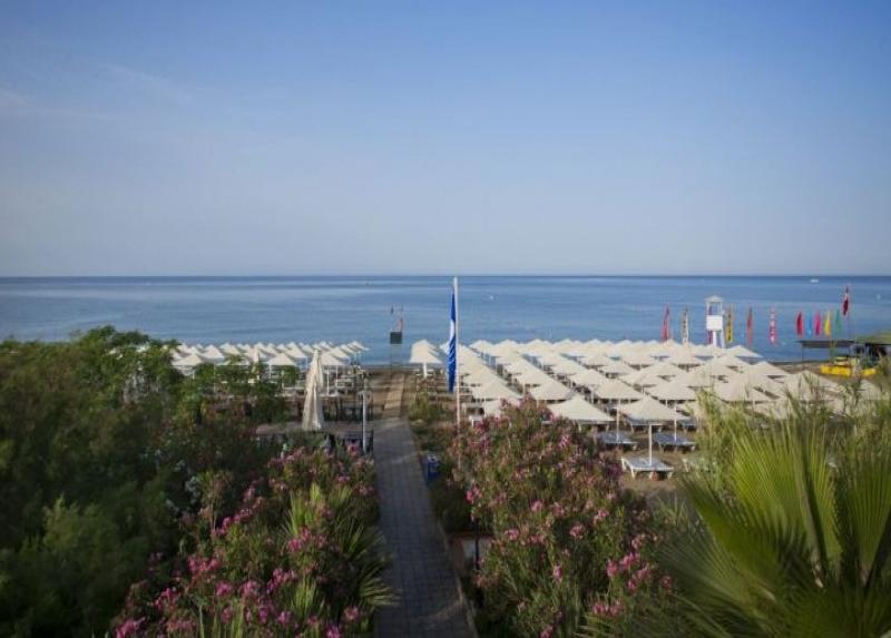 Aydinbey Gold Dreams / Aydinbey Gold Dreams