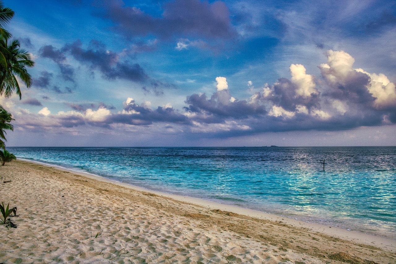 Maldivi