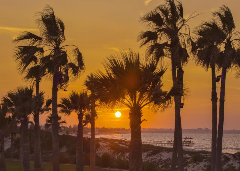 Hilton Skanes Monastir Beach Resort / Hilton Skanes Monastir Beach Resort