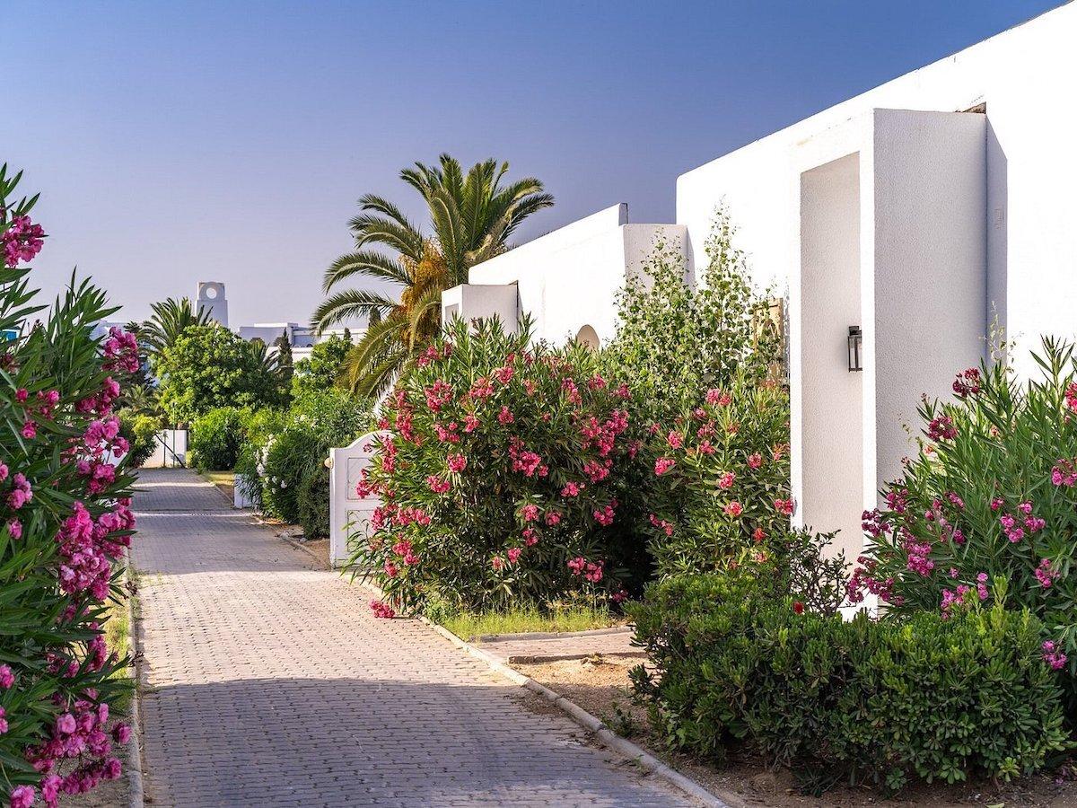 Iberostar Selection Mirage ( Ex.the Mirage Resort) / Iberostar Selection Mirage ( Ex.the Mirage Resort)