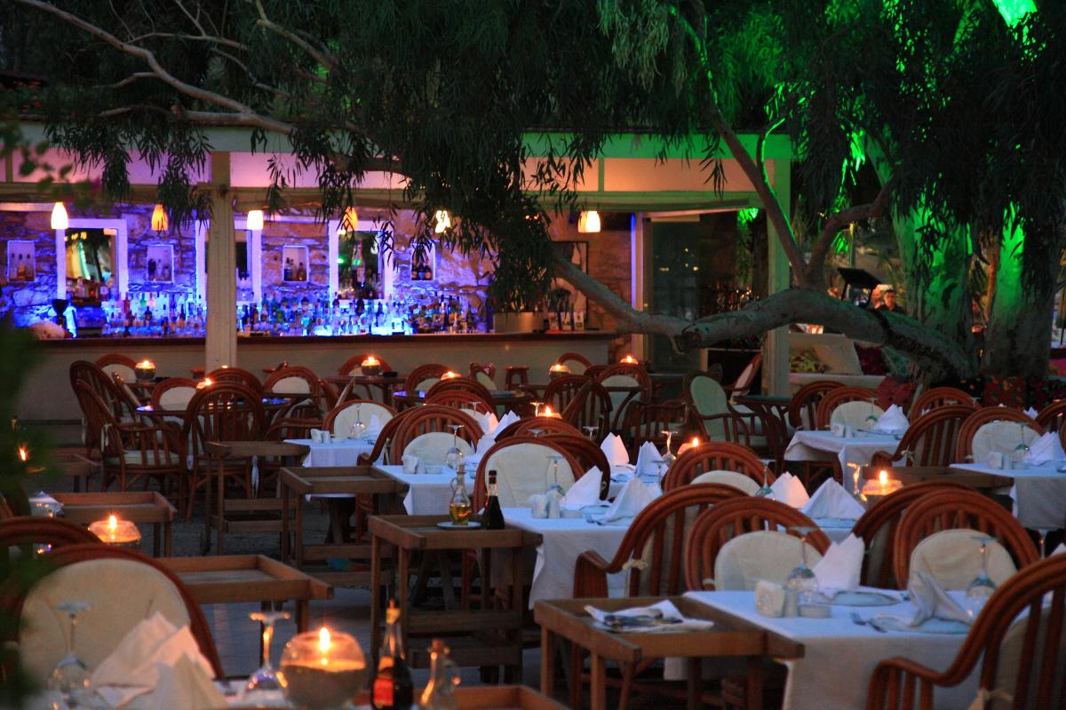 Okaliptus Hotel / Okaliptus Hotel