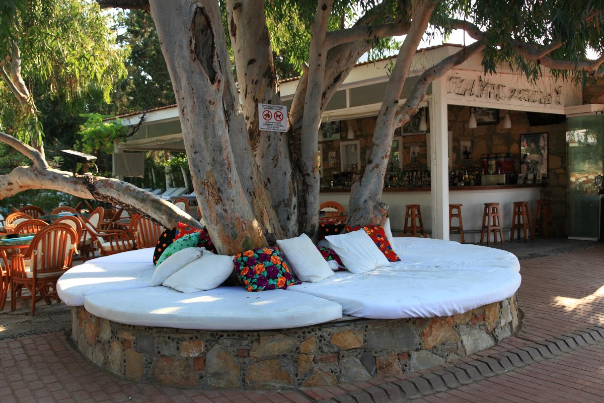 Okaliptus Hotel / Okaliptus Hotel