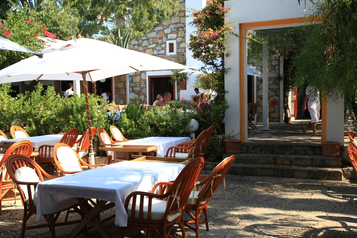 Okaliptus Hotel / Okaliptus Hotel