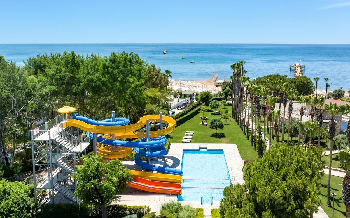 Arum Barut Collection / Arum Barut Collection