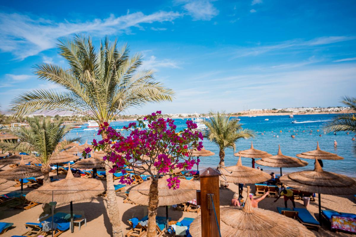 Marina Sharm Hotel / Marina Sharm Hotel