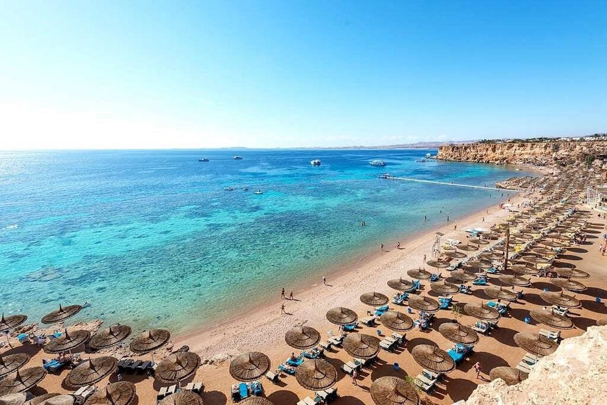 Reef Oasis Beach Resort / Reef Oasis Beach Resort