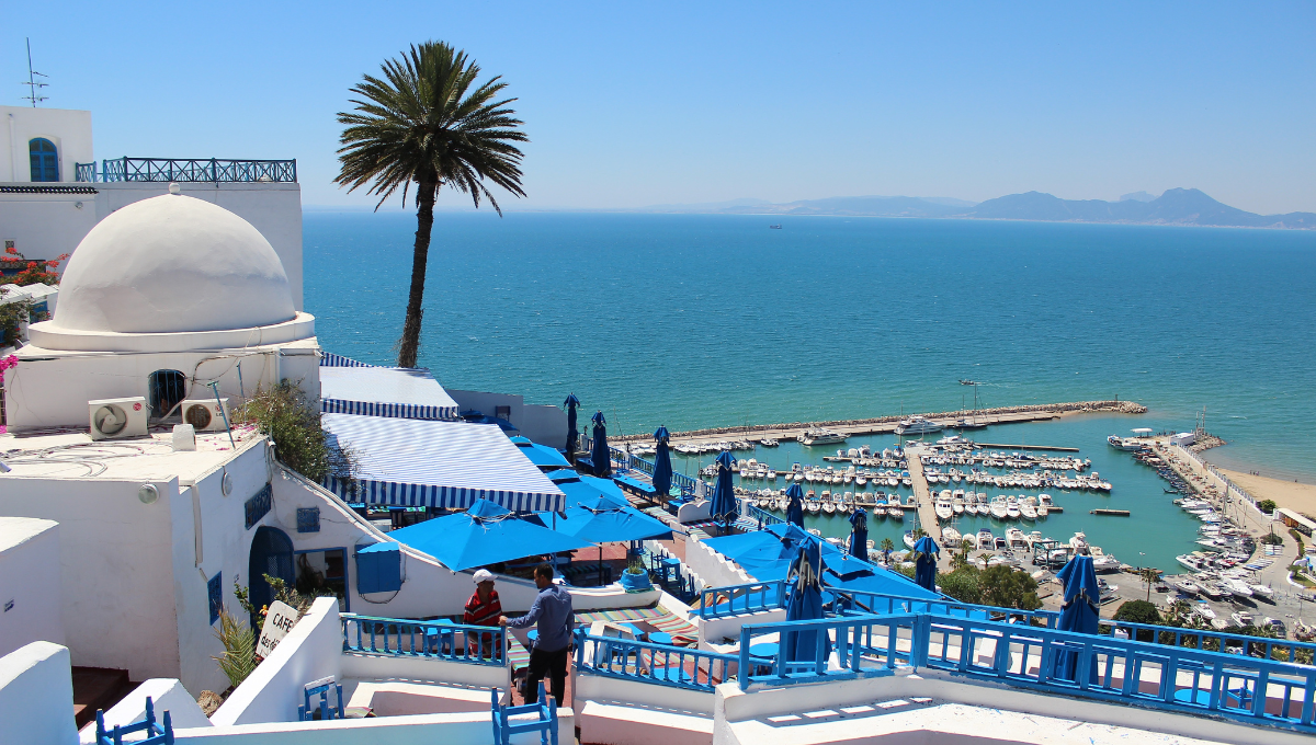 Tunis Velika Tura / Tunis Velika Tura