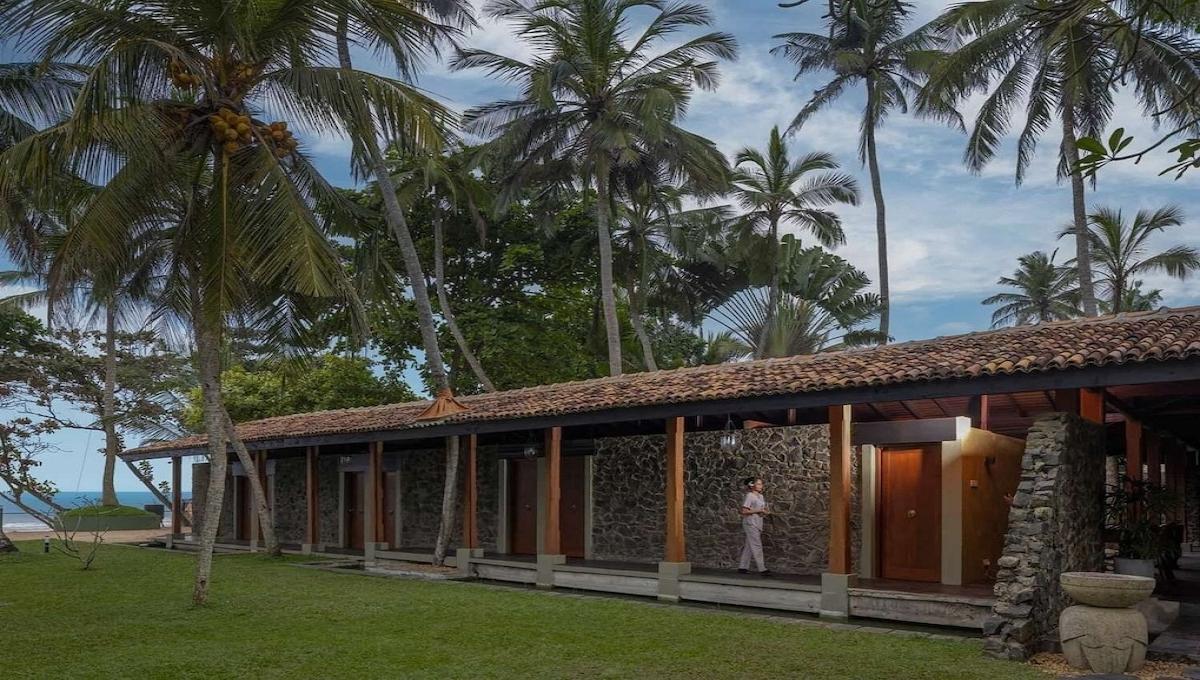 Occidental Eden Resort & Spa / Occidental Eden Resort & Spa
