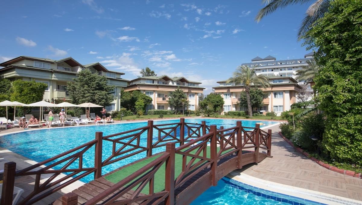 Aydinbey Gold Dreams / Aydinbey Gold Dreams