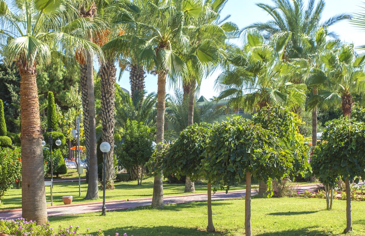 Lonicera Resort Spa Hotel / Lonicera Resort Spa Hotel