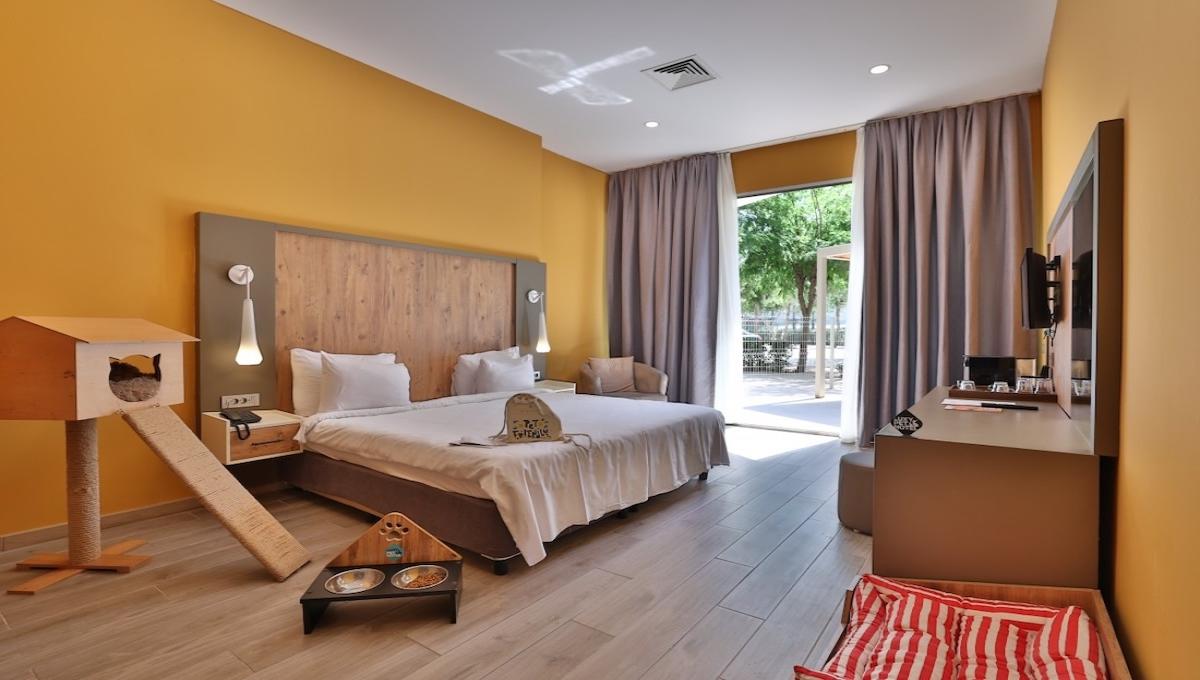 Nirvana Cosmopolitan / Nirvana Cosmopolitan