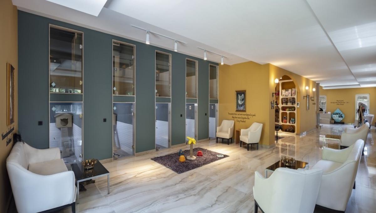 Nirvana Cosmopolitan / Nirvana Cosmopolitan