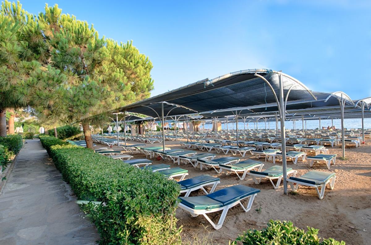 Trendy Palm Beach Adults Only 16+ / Trendy Palm Beach Adults Only 16+