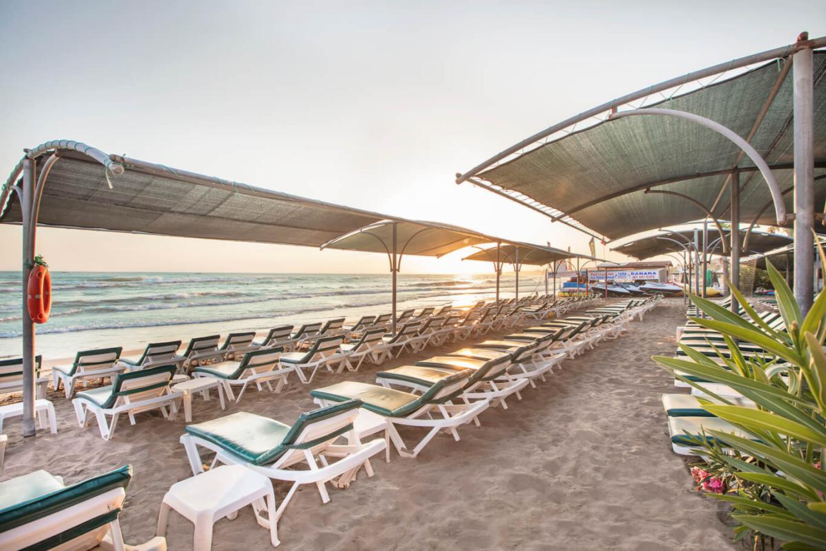 Trendy Palm Beach Adults Only 16+ / Trendy Palm Beach Adults Only 16+