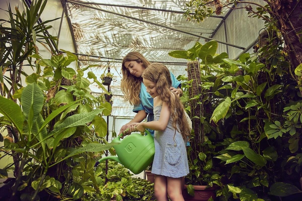 Desert Rose Resort / Desert Rose Resort