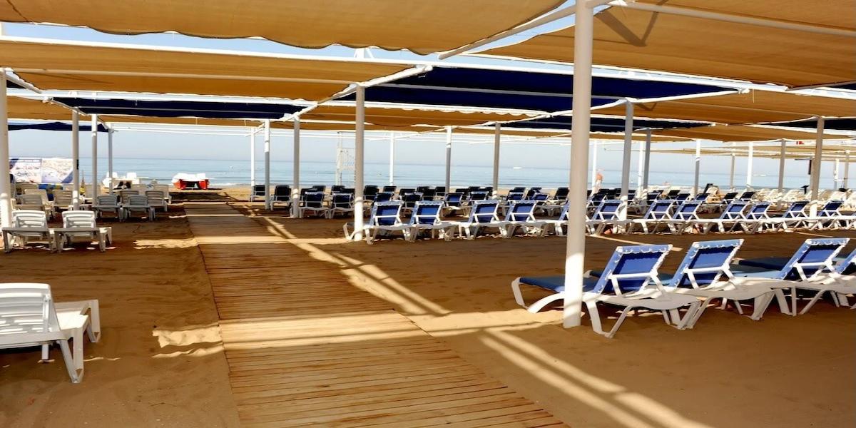 Dream Family Club / Dream Family Club